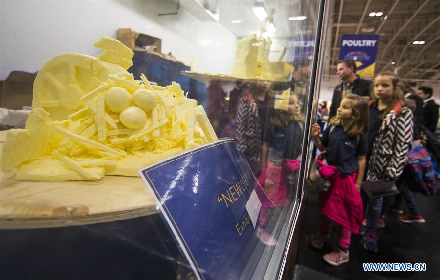 Butter Sculpture Competition of 2019 Royal Agricultural Winter Fair