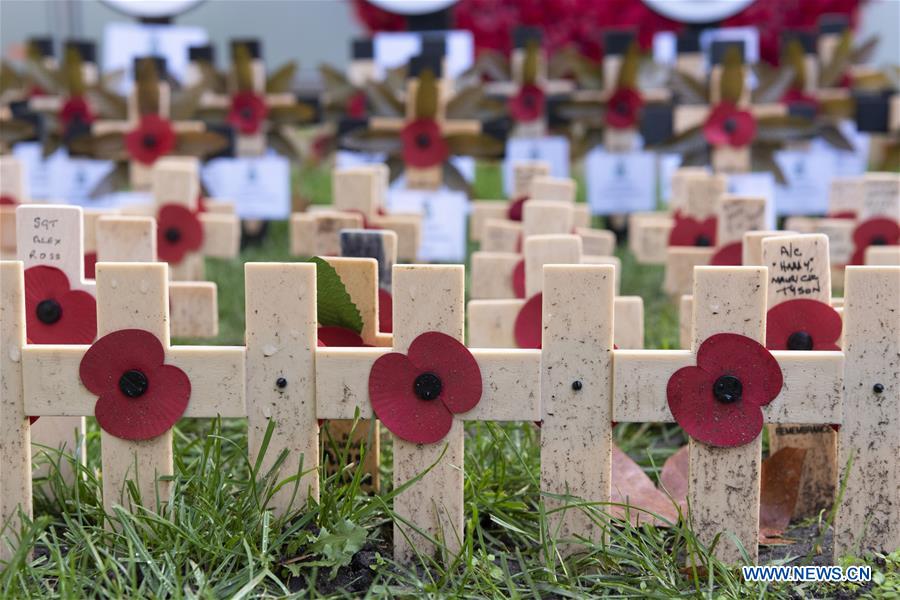 BRITAIN-LONDON-91ST FIELD OF REMEMBRANCE-WESTMINSTER ABBEY