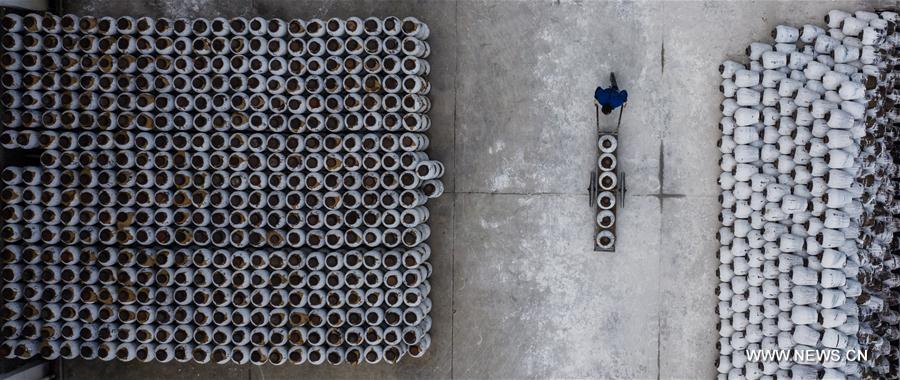 XINHUA PHOTOS OF THE DAY