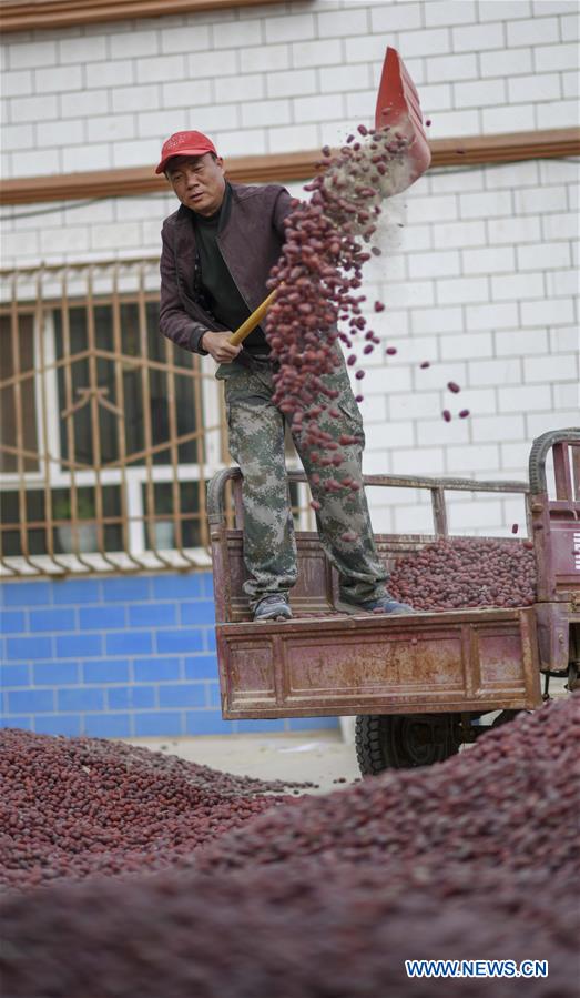 CHINA-XINJIANG-ONLINES BUSINESS-RED JUJUBE (CN)