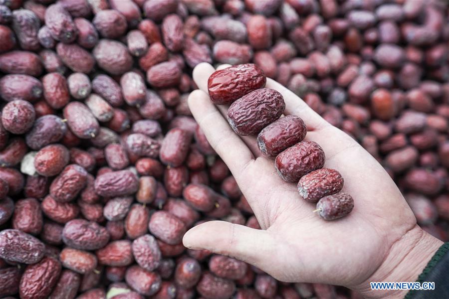 CHINA-XINJIANG-ONLINES BUSINESS-RED JUJUBE (CN)
