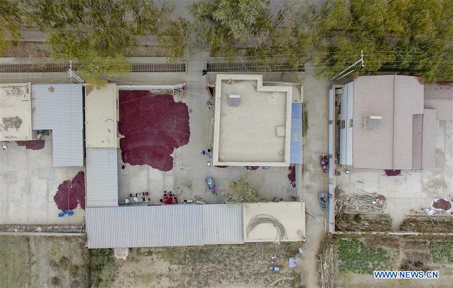 CHINA-XINJIANG-ONLINES BUSINESS-RED JUJUBE (CN)