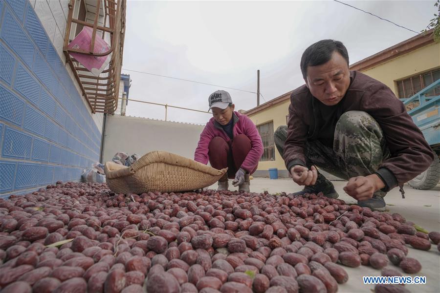 CHINA-XINJIANG-ONLINES BUSINESS-RED JUJUBE (CN)