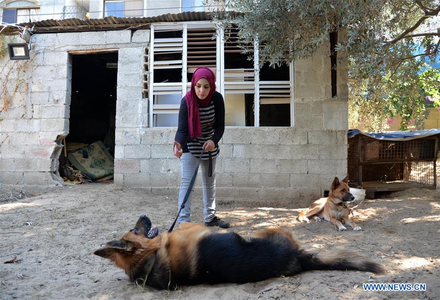 MIDEAST-GAZA-DOG-TRAINING