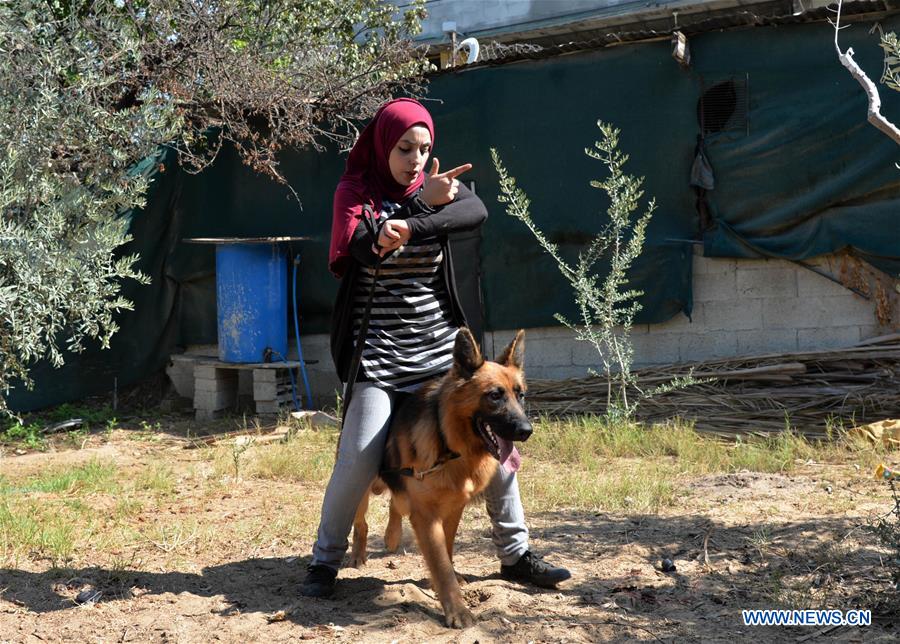 MIDEAST-GAZA-DOG-TRAINING