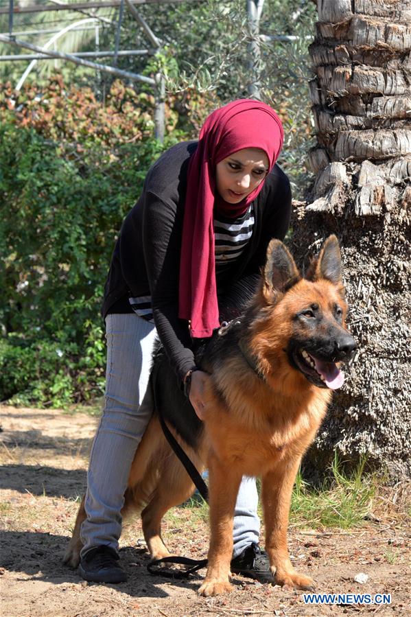 MIDEAST-GAZA-DOG-TRAINING
