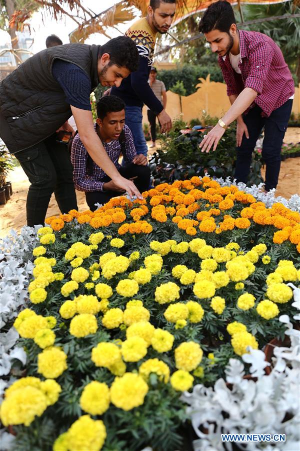 EGYPT-GIZA-AUTUMN HORTICULTURE EXPO