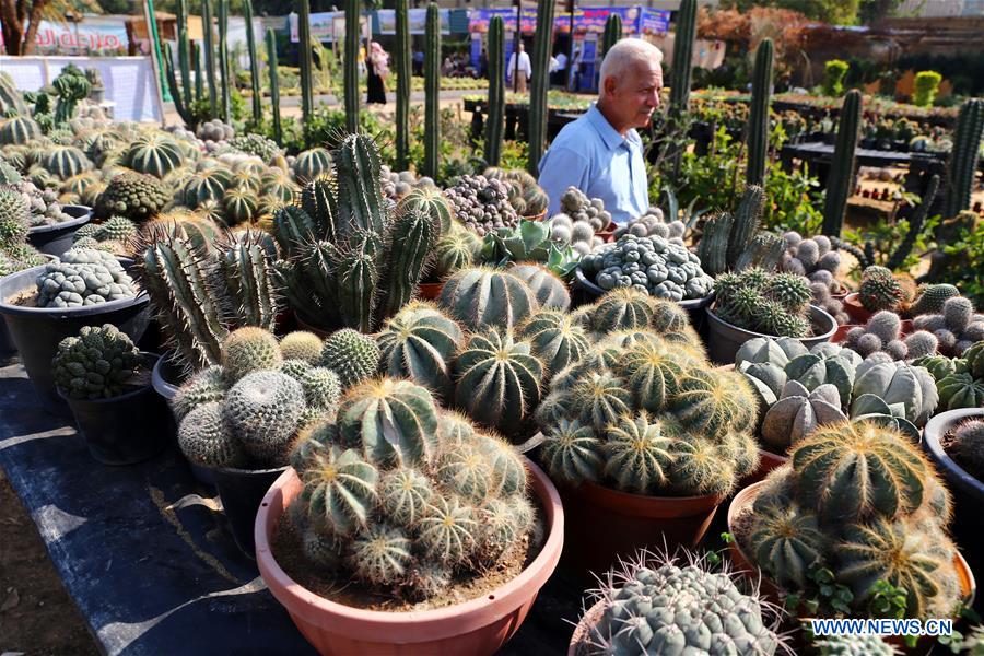 EGYPT-GIZA-AUTUMN HORTICULTURE EXPO