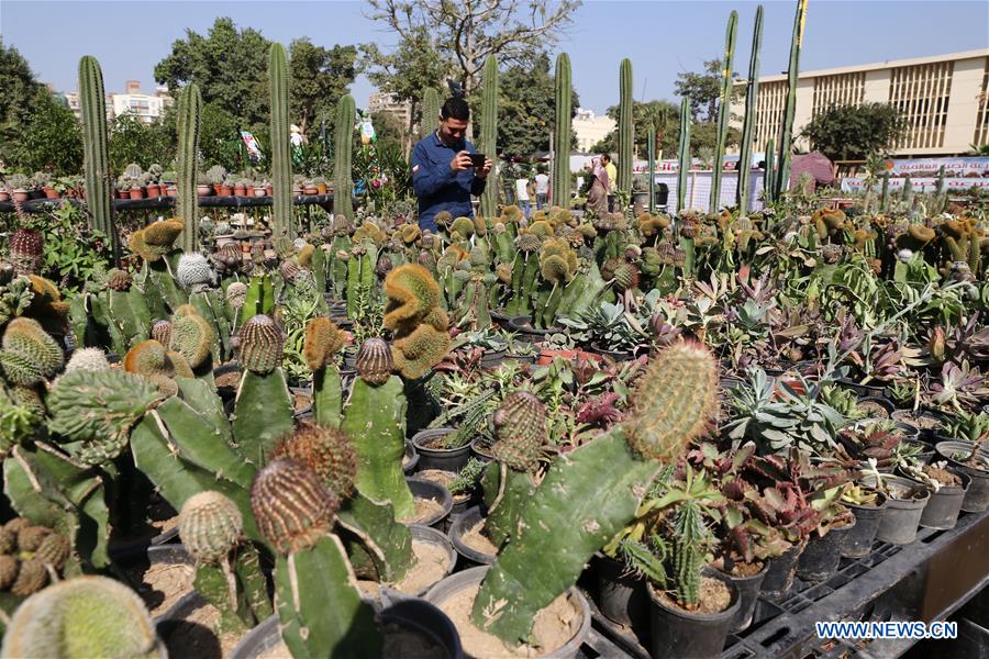 EGYPT-GIZA-AUTUMN HORTICULTURE EXPO