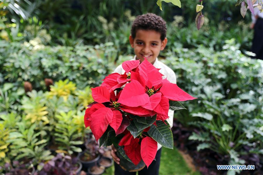 EGYPT-GIZA-AUTUMN HORTICULTURE EXPO