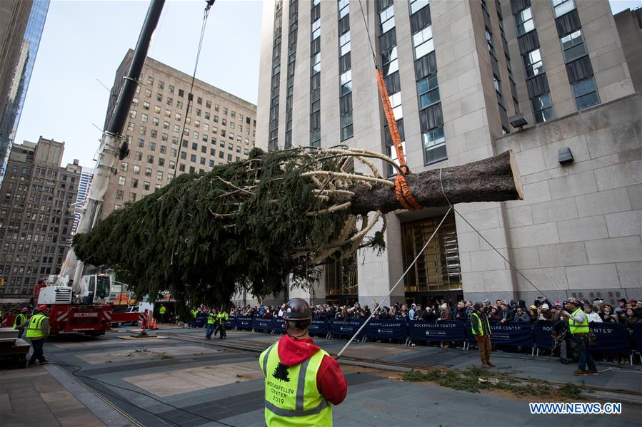 U.S.-NEW YORK-ROCKEFELLER CENTER-CHRISTMAS TREE-ARRIVAL