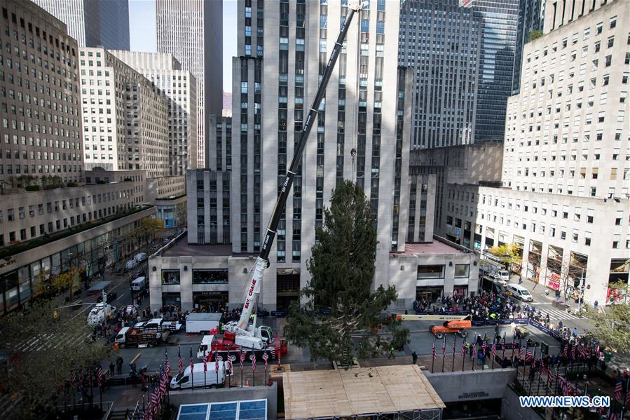U.S.-NEW YORK-ROCKEFELLER CENTER-CHRISTMAS TREE-ARRIVAL