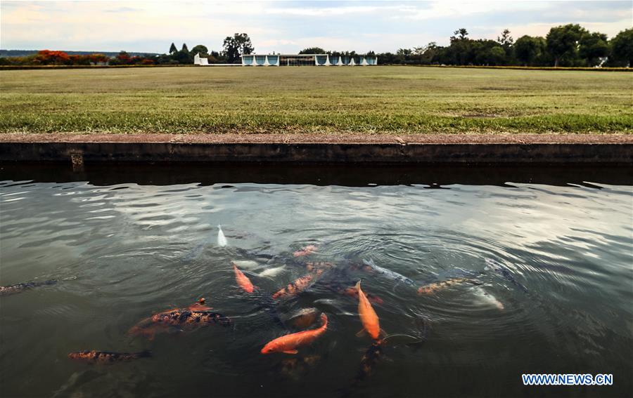 BRAZIL-BRASILIA-SCENERY