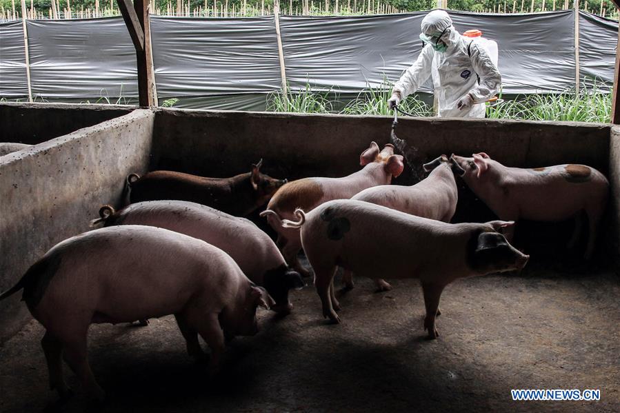 INDONESIA-NORTH SUMATRA-AFRICAN VIRUS