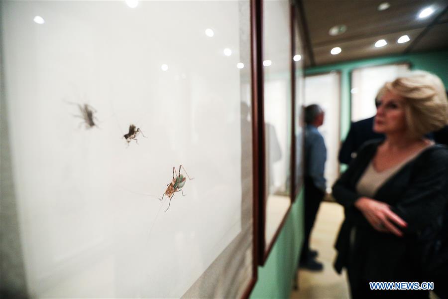 GREECE-ATHENS-CHINA-CULTURE-QI BAISHI-EXHIBITION