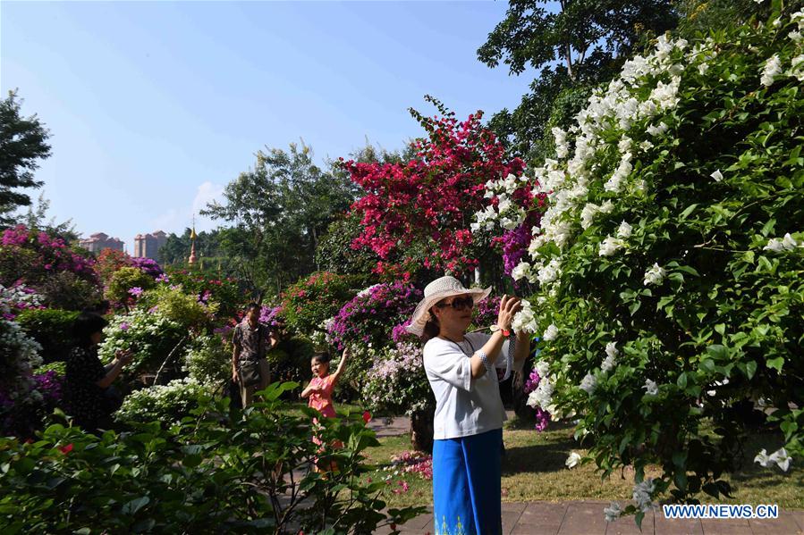 CHINA-YUNAN-JINGHONG-FLOWERS (CN)