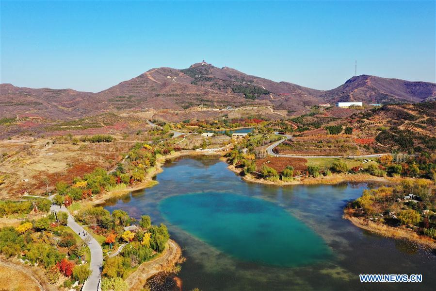CHINA-HEBEI-HANDAN-AUTUMN SCENERY (CN)