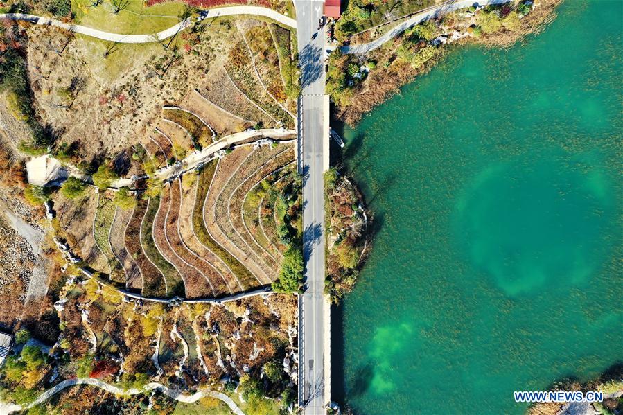 CHINA-HEBEI-HANDAN-AUTUMN SCENERY (CN)