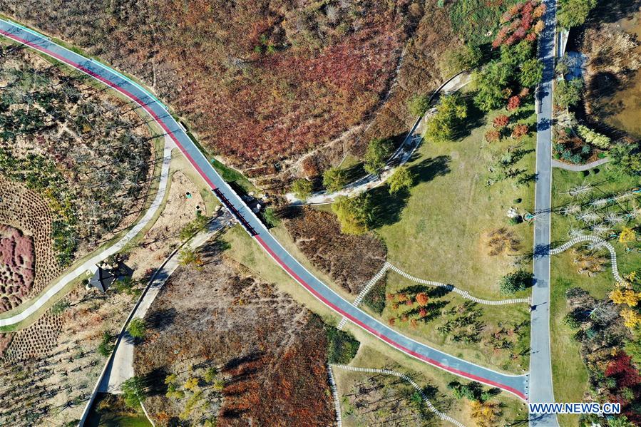 CHINA-HEBEI-HANDAN-AUTUMN SCENERY (CN)