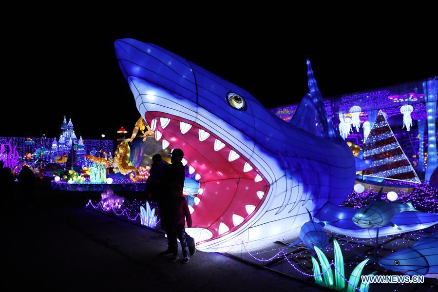 U.S.-LA MARQUE-WINTER LIGHTS FAIR