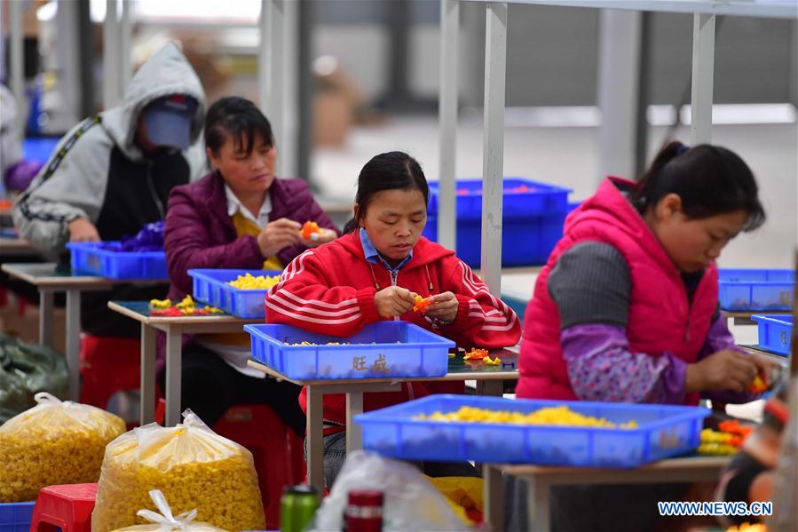 CHINA-GUANGXI-DAHUA-POVERTY ALLEVIATION (CN)