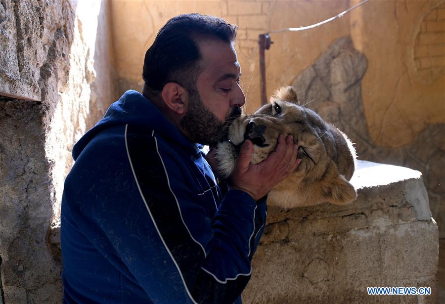 Feature: Syrian animal lover aspires to develop best zoo in Syria - Xinhua  