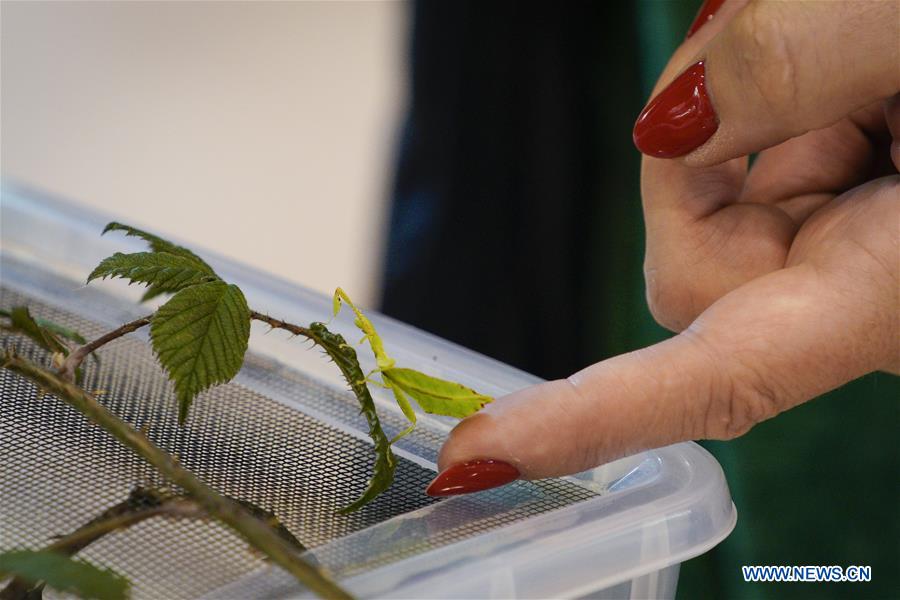 POLAND-WARSAW-EXOTIC ANIMALS FAIR