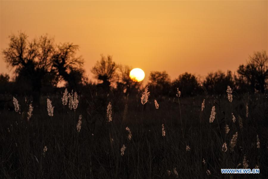 CHINA-XINJIANG-NATURE-KERIYA RIVER (CN)