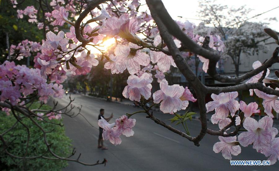 INDONESIA-SURABAYA-FLOWERS