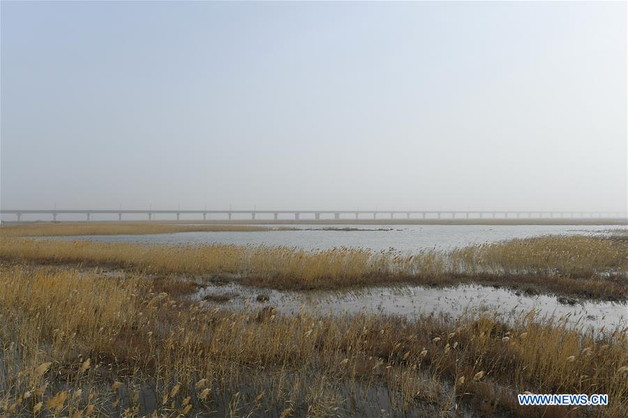 CHINA-XINJIANG-RAILWAY-ECOLOGY-PROTECTION (CN)