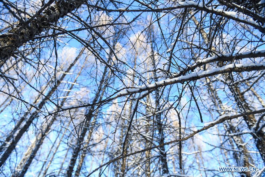 CHINA-INNER MONGOLIA-ARXAN-WINTER SCENERY (CN)