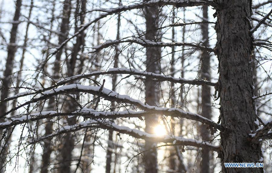 CHINA-INNER MONGOLIA-ARXAN-WINTER SCENERY (CN)