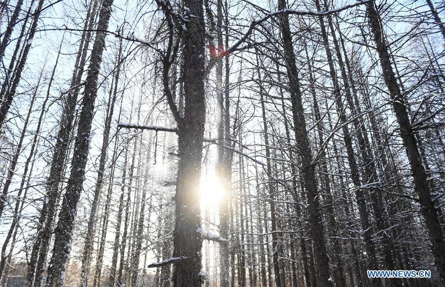 CHINA-INNER MONGOLIA-ARXAN-WINTER SCENERY (CN)