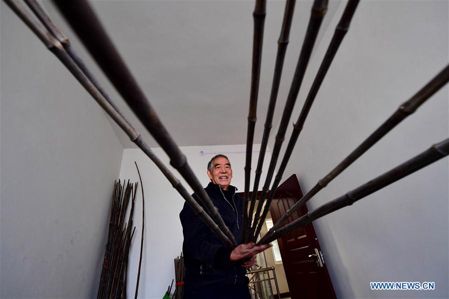 CHINA-HENAN-LUOYANG-MUSICAL INSTRUMENT-SHENG MAKER (CN)