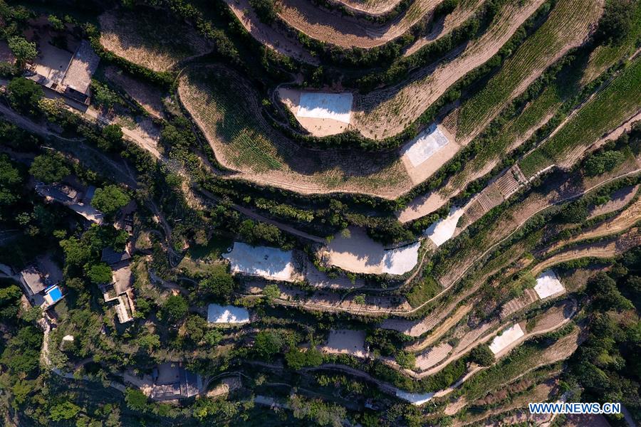 (FOCUS) CHINA-SHANXI-YICHENG-RURAL LIFE-WATER SECURITY (CN)