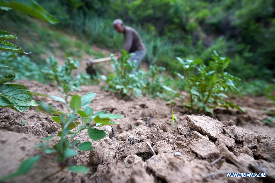 (FOCUS) CHINA-SHANXI-YICHENG-RURAL LIFE-WATER SECURITY (CN)