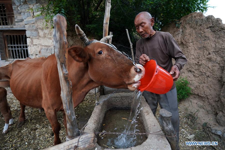 (FOCUS) CHINA-SHANXI-YICHENG-RURAL LIFE-WATER SECURITY (CN)