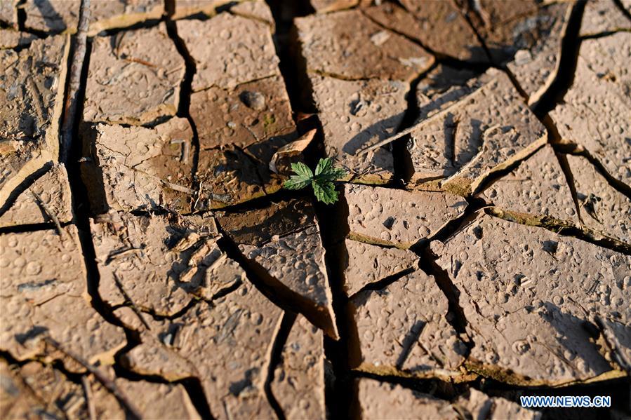 (FOCUS) CHINA-SHANXI-YICHENG-RURAL LIFE-WATER SECURITY (CN)