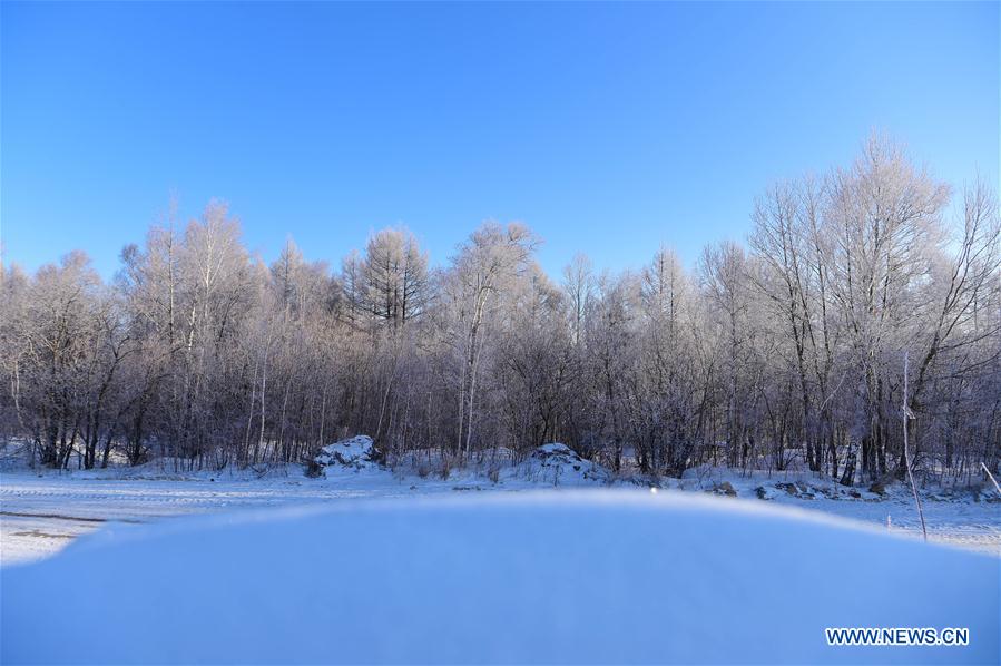 CHINA-INNER MONGOLIA-ARXAN-FOREST-RIME-SCENERY (CN)
