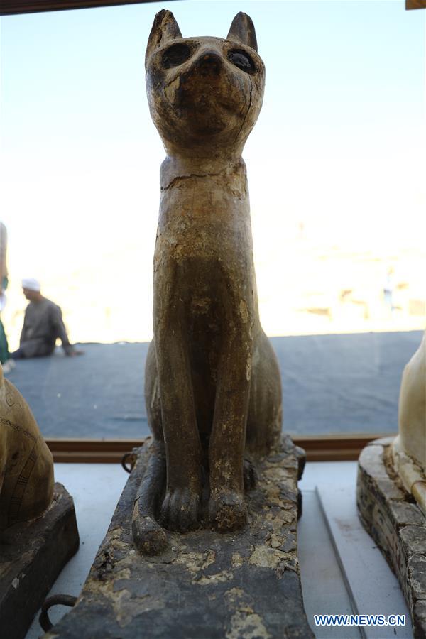 EGYPT-GIZA-SAQQARA-ANIMAL MUMMIES AND STATUES-DISCOVERY