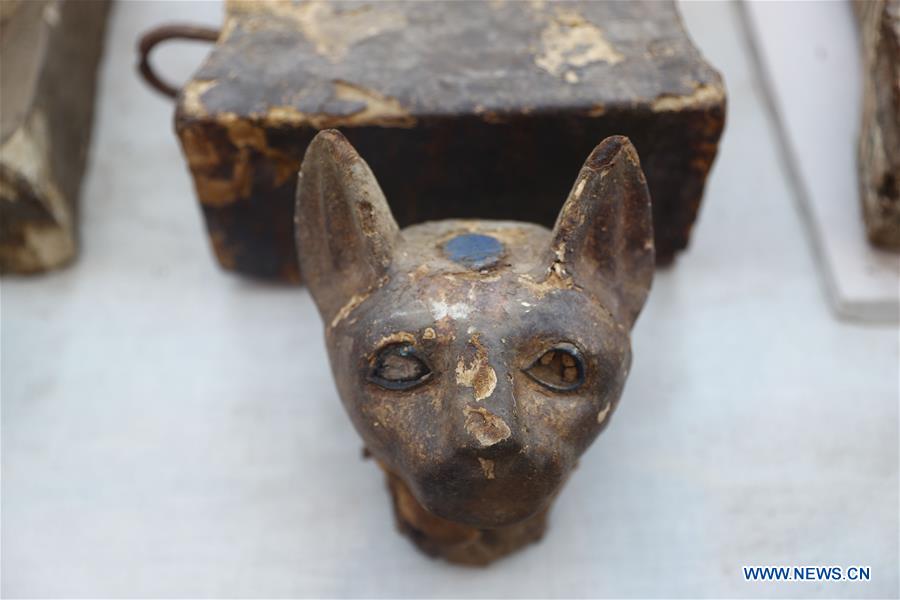EGYPT-GIZA-SAQQARA-ANIMAL MUMMIES AND STATUES-DISCOVERY