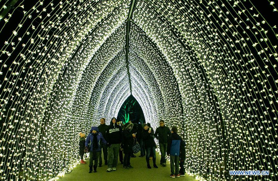 U.S.-CHICAGO-LIGHT SHOW