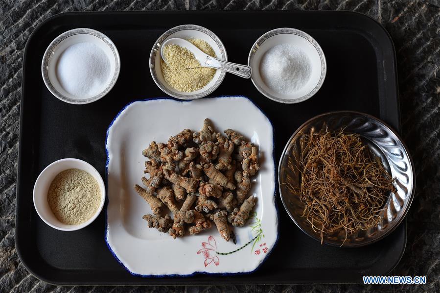 CHINA-YUNNAN-PANAX NOTOGINSENG-INDUSTRY (CN)