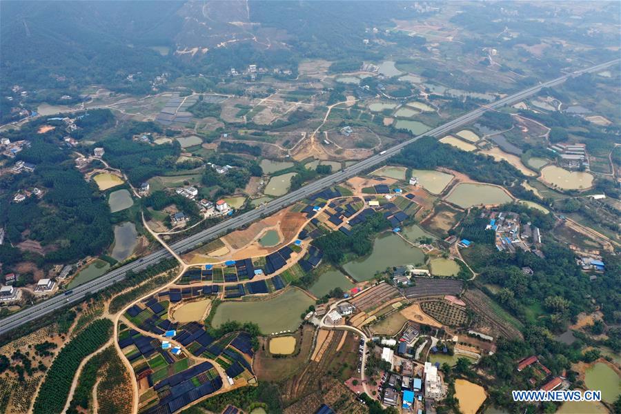 CHINA-GUANGXI-NANNING-FIELDS-SCENERY (CN)