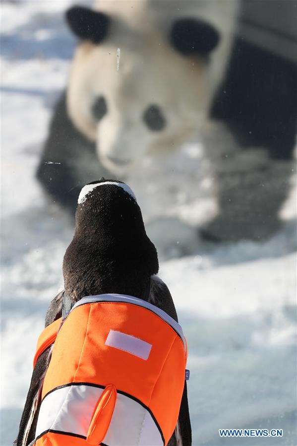 XINHUA PHOTOS OF THE DAY