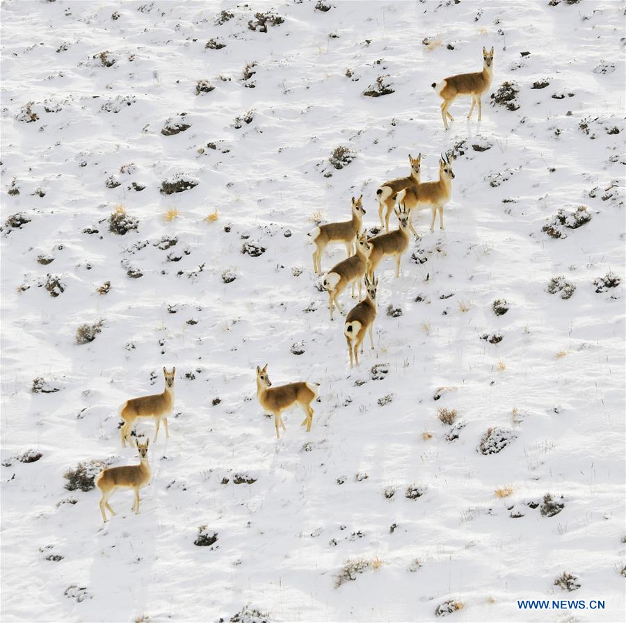 XINHUA PHOTOS OF THE DAY