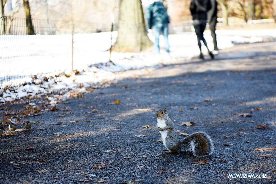 U.S.-NEW YORK-CENTRAL PARK-SNOW