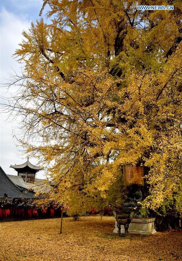 CHINA-SHAANXI-QINLING MOUNTAINS-SCENERY (CN)