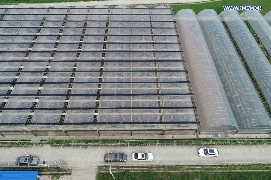 CHINA-SHAANXI-ANKANG-ECONOMY (CN)