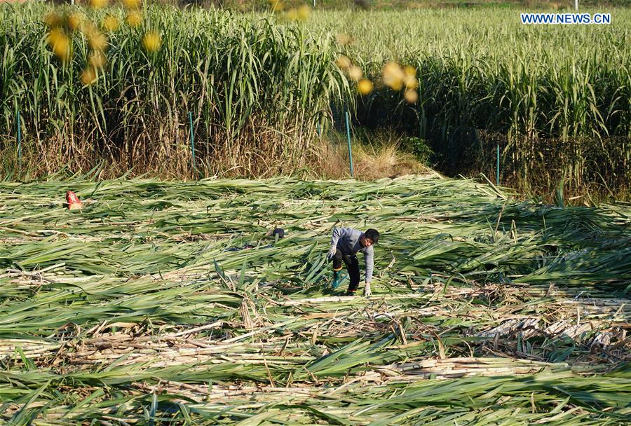 CHINA-SHAANXI-ANKANG-ECONOMY (CN)